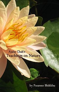 Ajahn Chahs Teachings On Nature