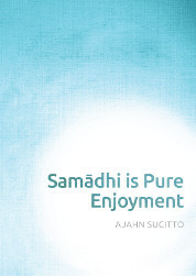 Samadhi is Pure Enjoyment